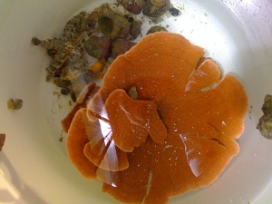 IMG 0065