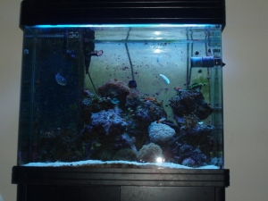 70 gal tank