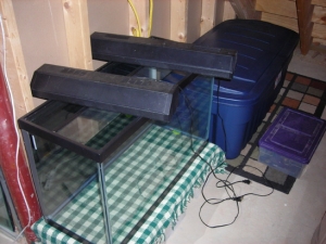 Sump and Fuge behind wall