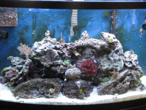 Full tank - 03/21/2009