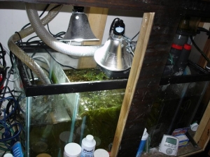 sump