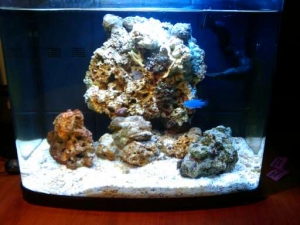 12G Aquapod