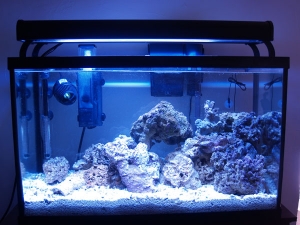 A few weeks later