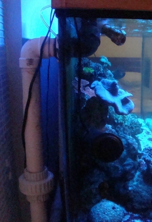 my bulkhead setup