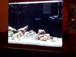 MyTankStage1