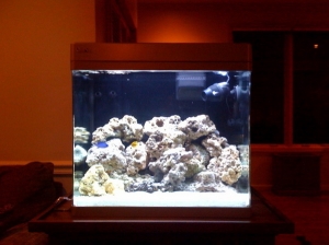 MyTankStage2