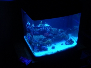 with the new sand