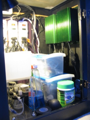 Right Side Of Stand