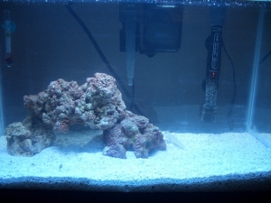 Day One