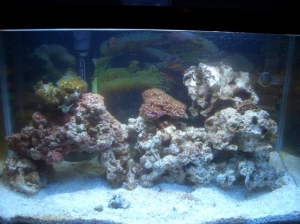 Rearranged
