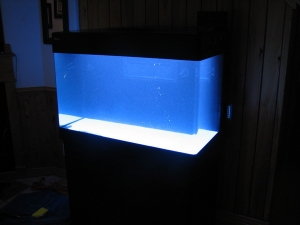 Mixing salt in the tank for the very first time 7/6/2009
