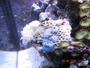 DSCN1133