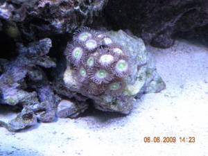 DSCN1140