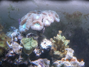 DSCN1144