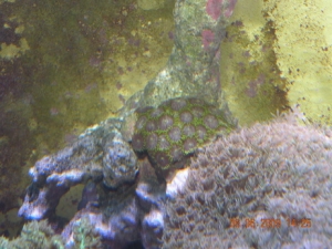 DSCN1145