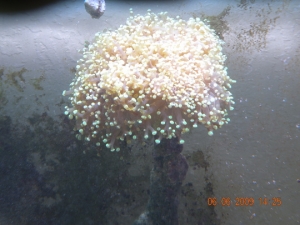 DSCN1146