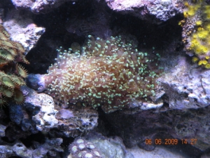 DSCN1150