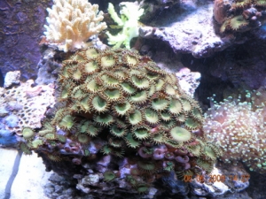DSCN1151