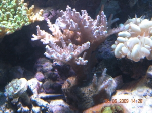 DSCN1153