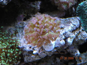 DSCN1168