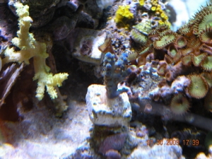 DSCN1170