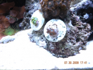 DSCN1171
