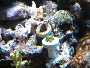 DSCN1172