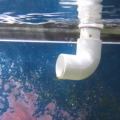 return with siphon holes