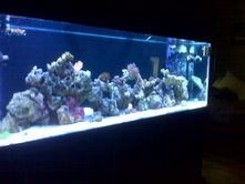 Full Tank Shot as of August 2009