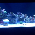 August 2009 FTS