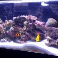 Tank shot3