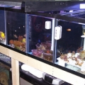 120 GAL. SYSTEM WITH 30 GAL. SUMP