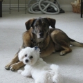 Coco and Lily