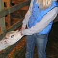 I got to bottle feed this calf. SO adorable!