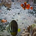 DSCN0718