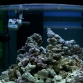 DA TANK