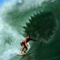 Surfin