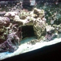mytank