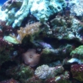 Upclose shot - 3-20-10