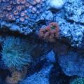View from above