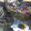 Big cave for inhabitants