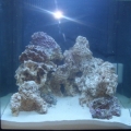 25lbls live rock, 30lbs live sand..