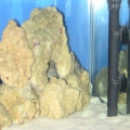 right side of the tank
