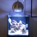 New MH light!!!