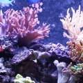 IMG00200 20101204 1244