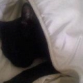 My baby