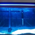 I had to slope the sand so that the filter wouldnt be covered in sand...doesnt seem right...I might just trim part of the tube off