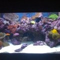 tank full
