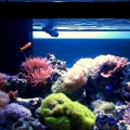 new FTS