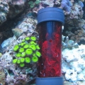 worm trap..This thing really works well.
Just put some bait..ANYTHING ..in a piece of pantyhose rubber band both ends and place it in the tube..I also use a couple of silver quarters for ballast..drill some 1/4 inch holes in it...and they just RUN to it 